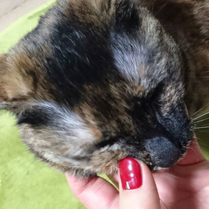 Aa02a940 6e0c 4666 97d6 9062eeed59bf