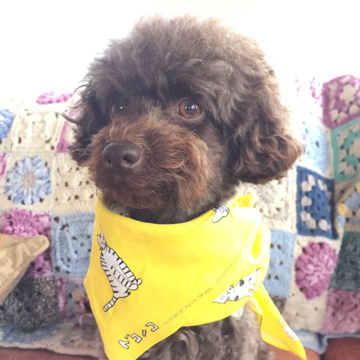 Aa02dd46 abff 42ae 8927 86fe6bb89d06