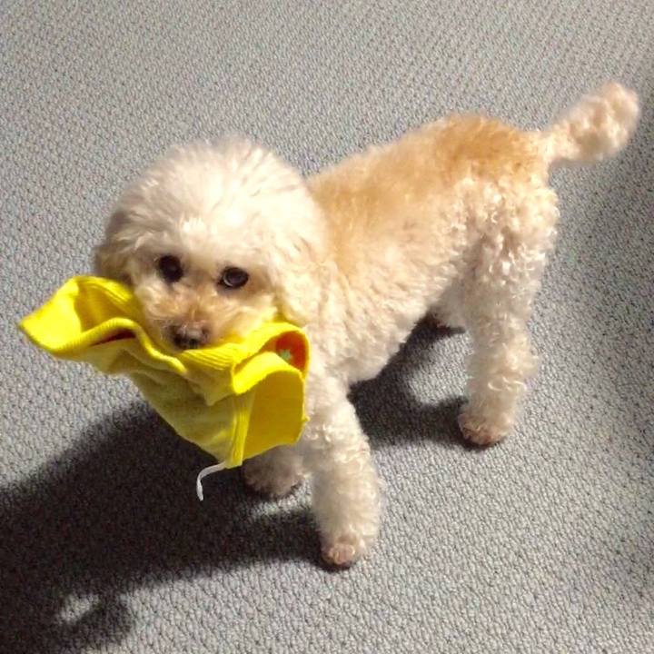 Aa034253 f828 4800 b3f5 ab0fd7b6b299