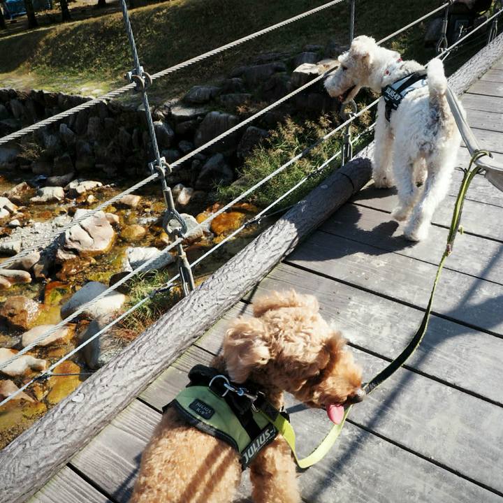 Aa03496f 9ef9 4ab3 aa81 8aef4f061301