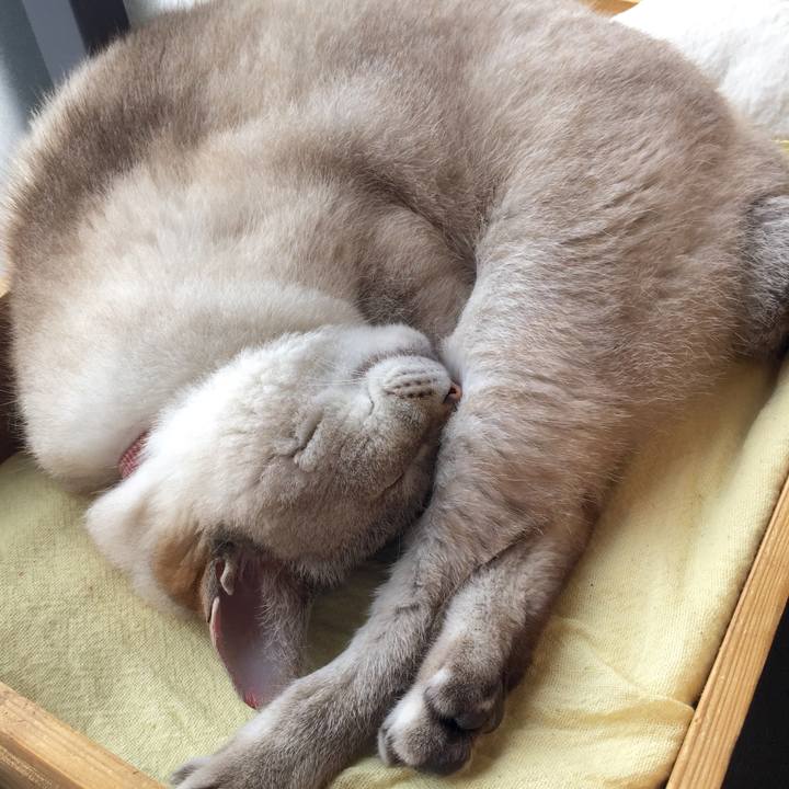 Aa034f47 a6c4 4324 badf f3762e777b00