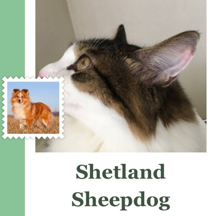 Aa04024c a407 426e bea0 56660f1c4e13