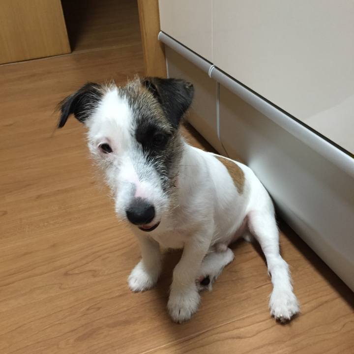 Aa045865 135e 49a8 99c9 9fe07de38917