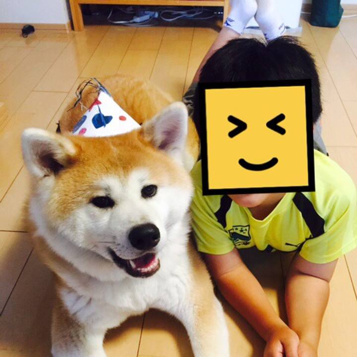 Aa055d2f 05f4 49d6 8df3 8f30512029a0