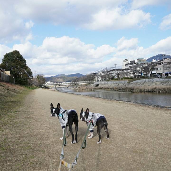 Aa05718a 646b 4769 b783 f8253b4bab7b