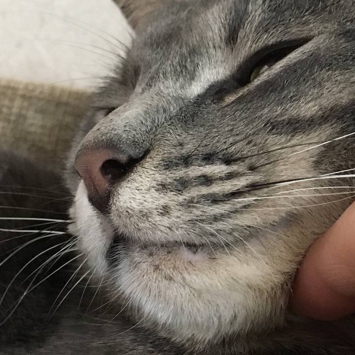 Aa0591d0 62b4 4445 a1d9 a600c0195ca0