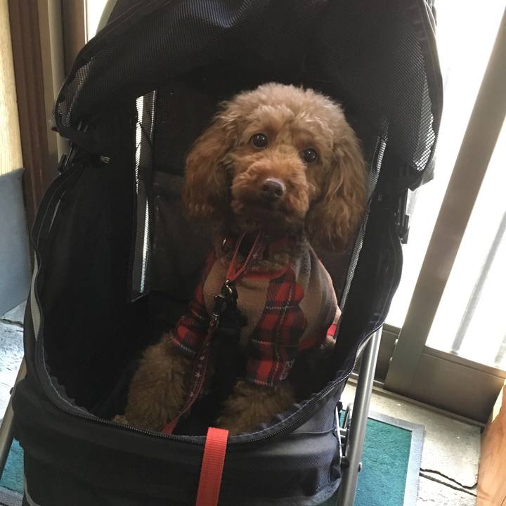 Aa06107b 9447 4e6a a4b6 509b974af7c0