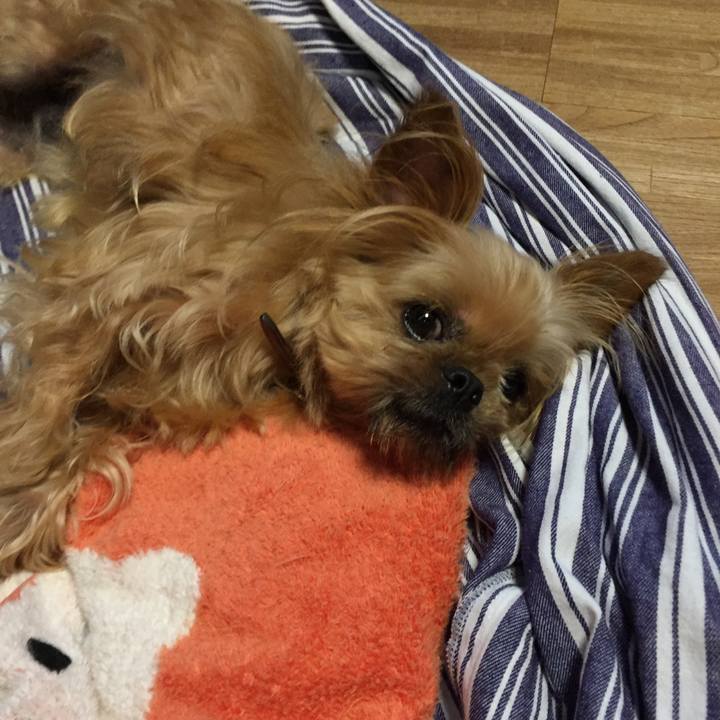 Aa06111c 0b30 440d 84ad 1cadd1fed33a