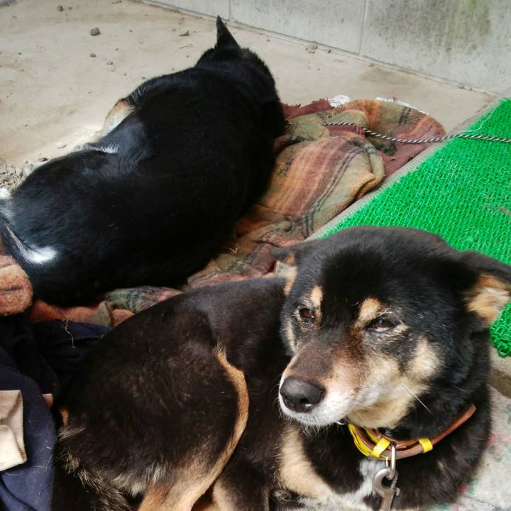 Aa061d1d e6f5 4efb 91cc aa9274819238