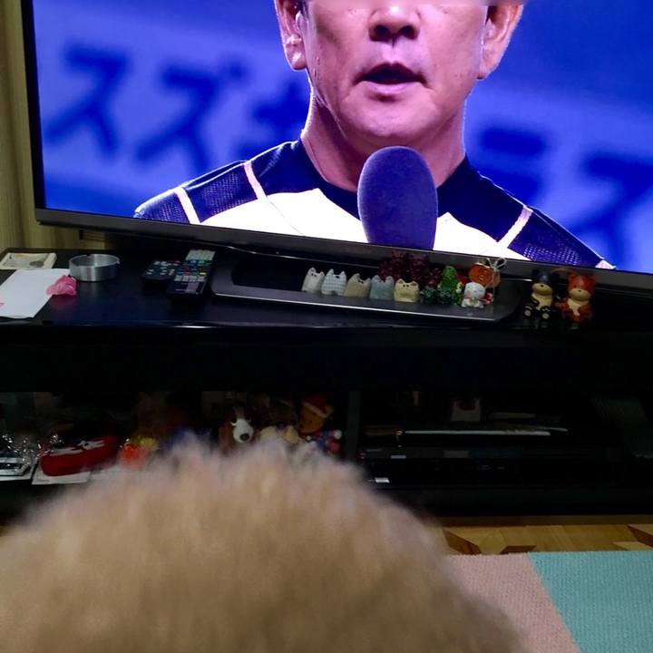 Aa062b8f 2ece 4ae3 be59 8549b2ef103d