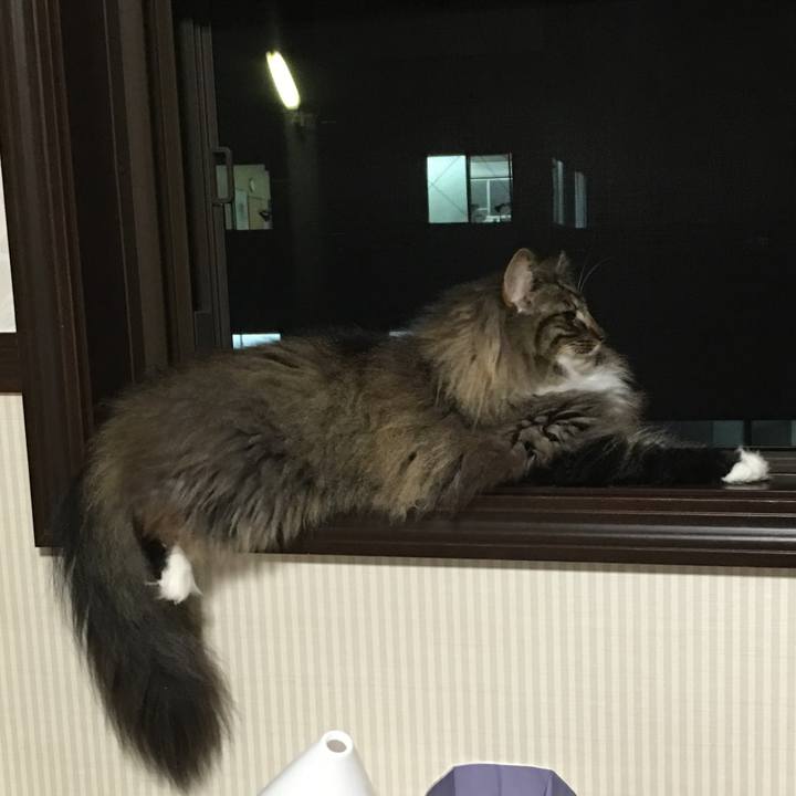 Aa066901 791e 40ff b7dd f27bd3942f2b