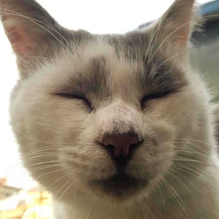 Aa076115 e011 4fb3 a22a 1d444a934f55