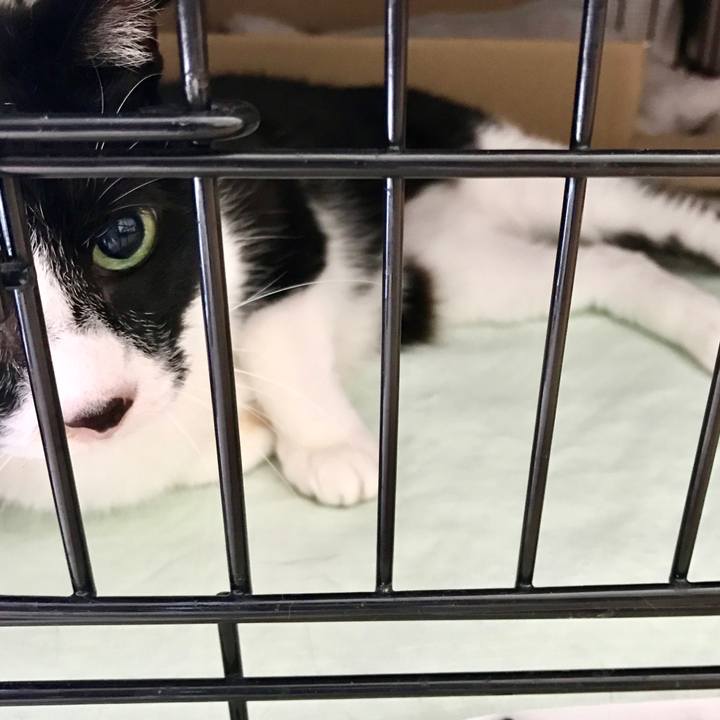 Aa085a3a 1eb8 444d 975d daac7b225158