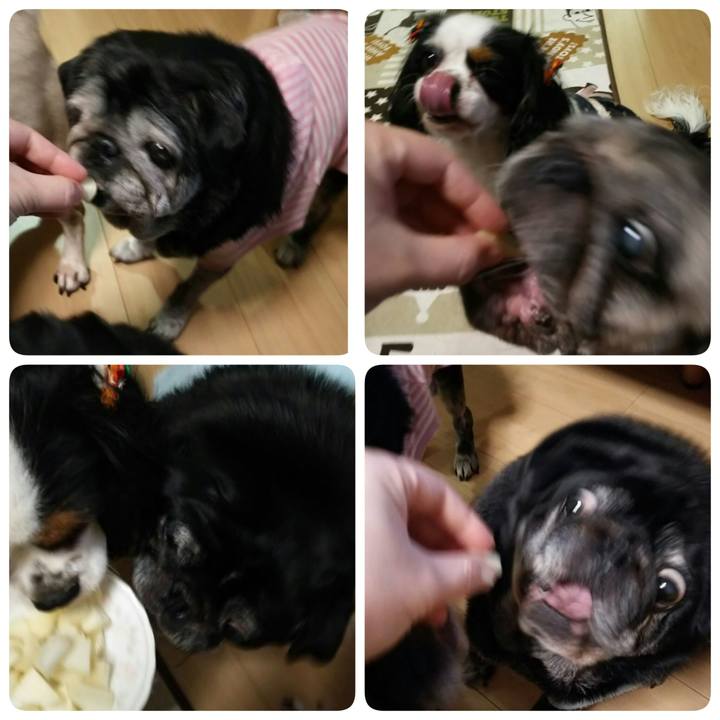 Aa088439 c8d7 4e40 925c 9036f0e4952d