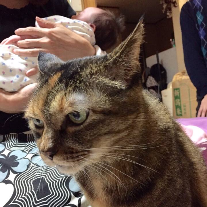 Aa089280 4e3f 4df6 8f84 fdc478dfae3d