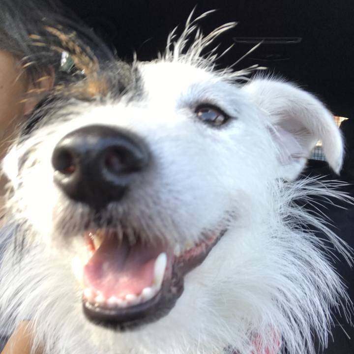 Aa090355 3239 4f4d 965f 56cf79a1e02e