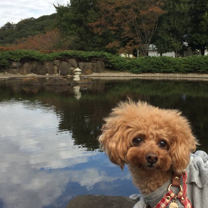 Aa094098 9e1a 4901 8b8c 7eea4aecdd5f