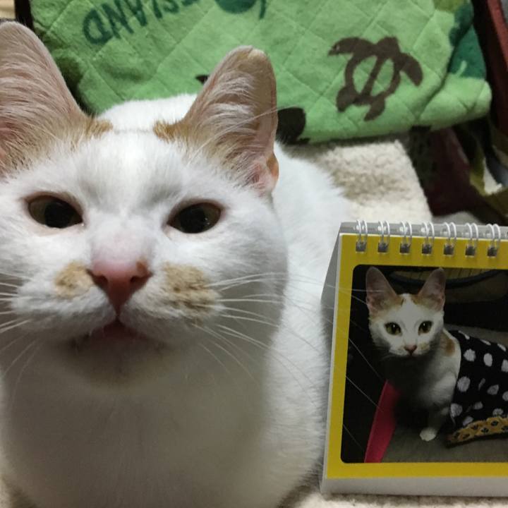 Aa094099 68af 47f7 bc9d 717c1953f415