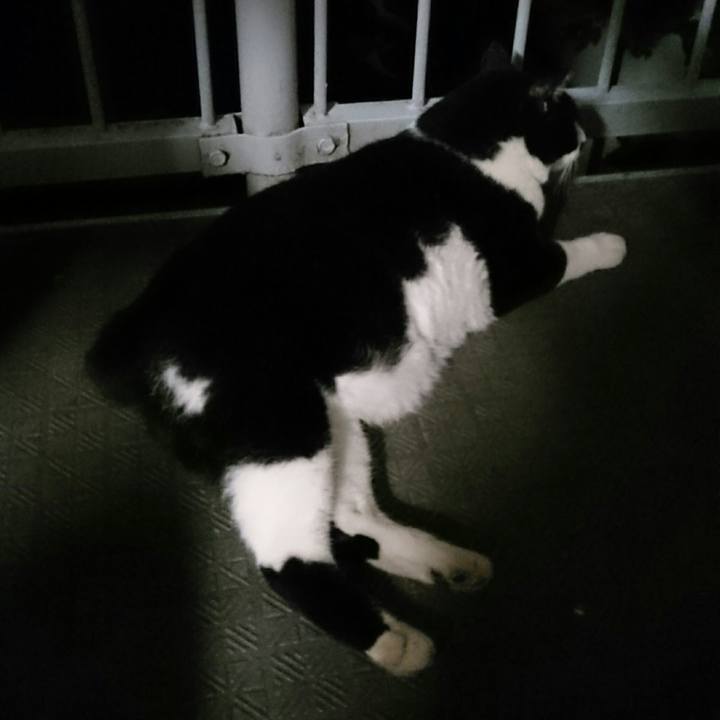 Aa095c8b cbd2 4afb a8e5 519659c733e7