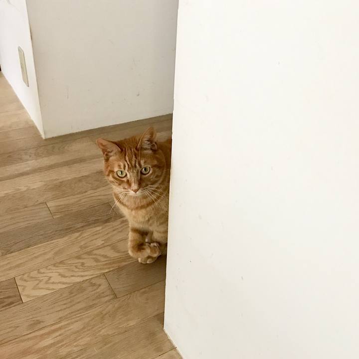 Aa096dbb 4377 4823 9c8d c923efd83ade