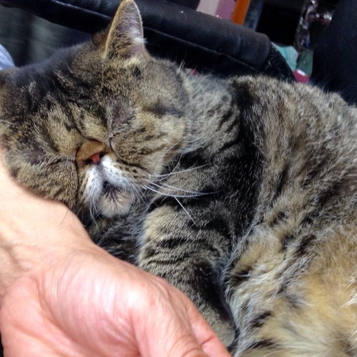 Aa09fbd3 887b 4360 8405 de6315a81be8