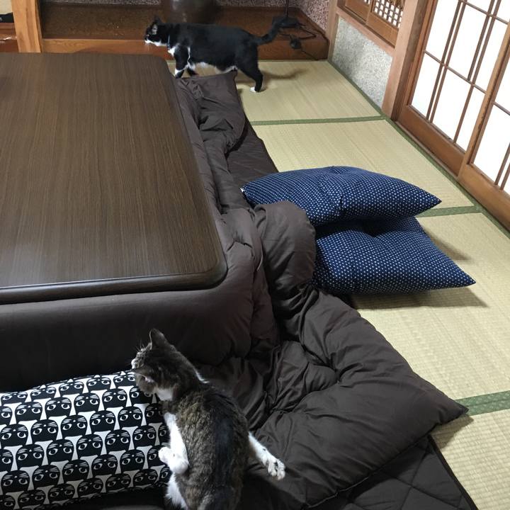 Aa0a07eb 1f98 4894 9ef4 c0c2d1d66d47