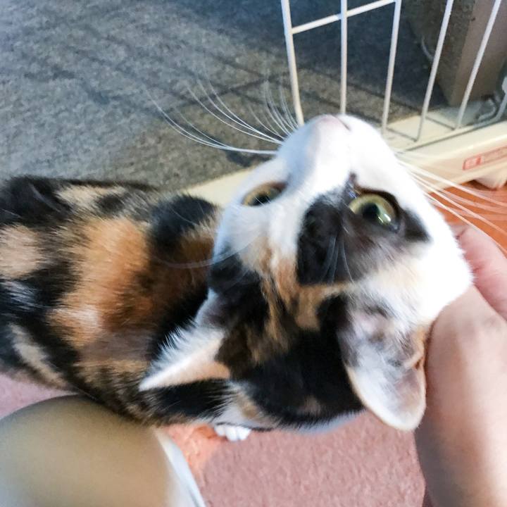 Aa0a57cb 8d0a 4207 8a73 98dd75560753