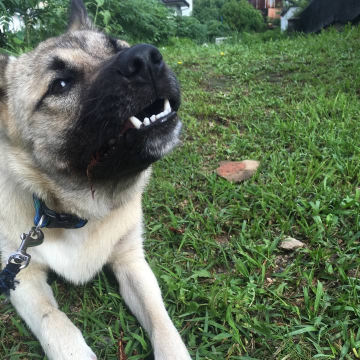 Aa0aaea2 2e21 493f aef8 1c159bff16e6