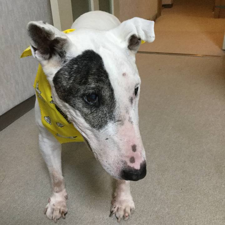 Aa0b3871 460c 4272 b967 ca0161692834