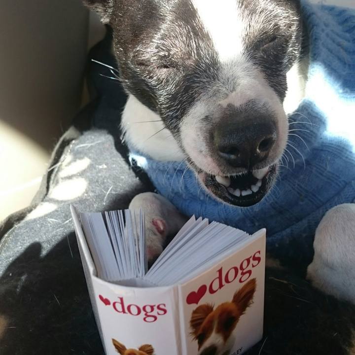 Aa0b79ca 83bc 4964 a6ba 475727546409