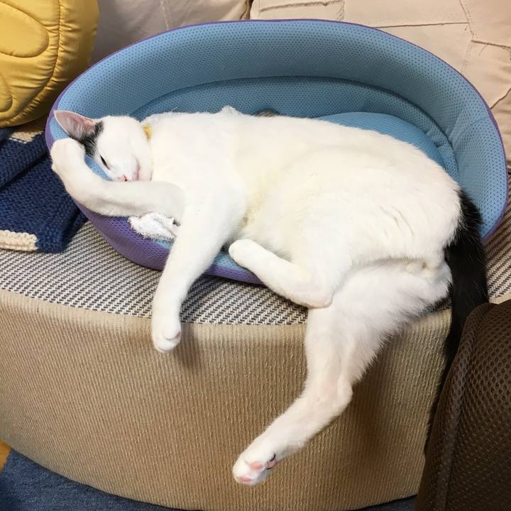 Aa0c14a1 dc17 4c7e adff 23da65647c4a