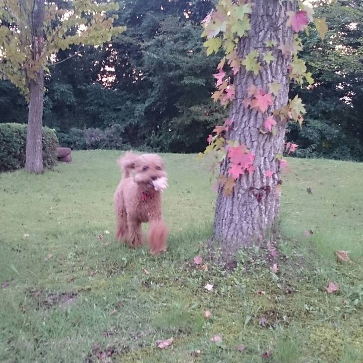 Aa0c43d8 98dc 4fa7 8a72 1711a8dd7a4c