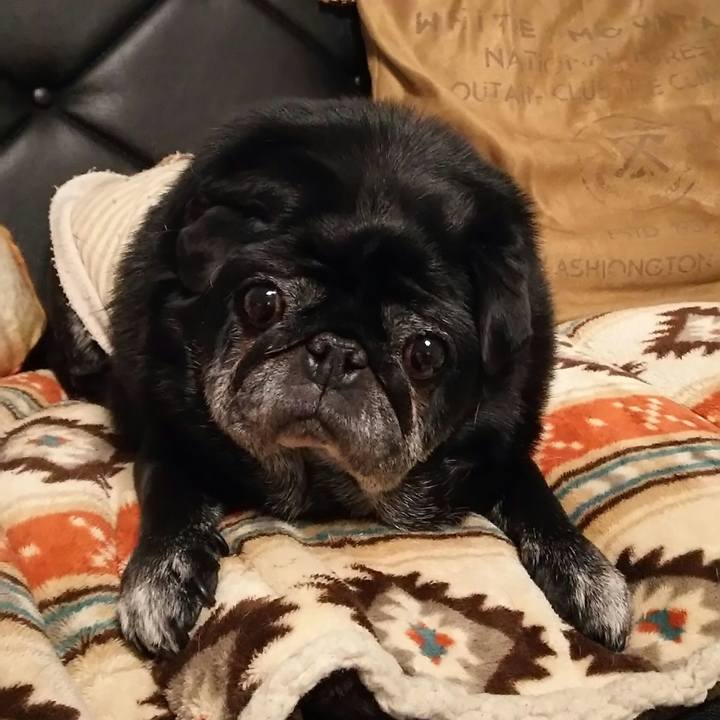 Aa0ce597 f7fa 4095 aade 762cf972371b