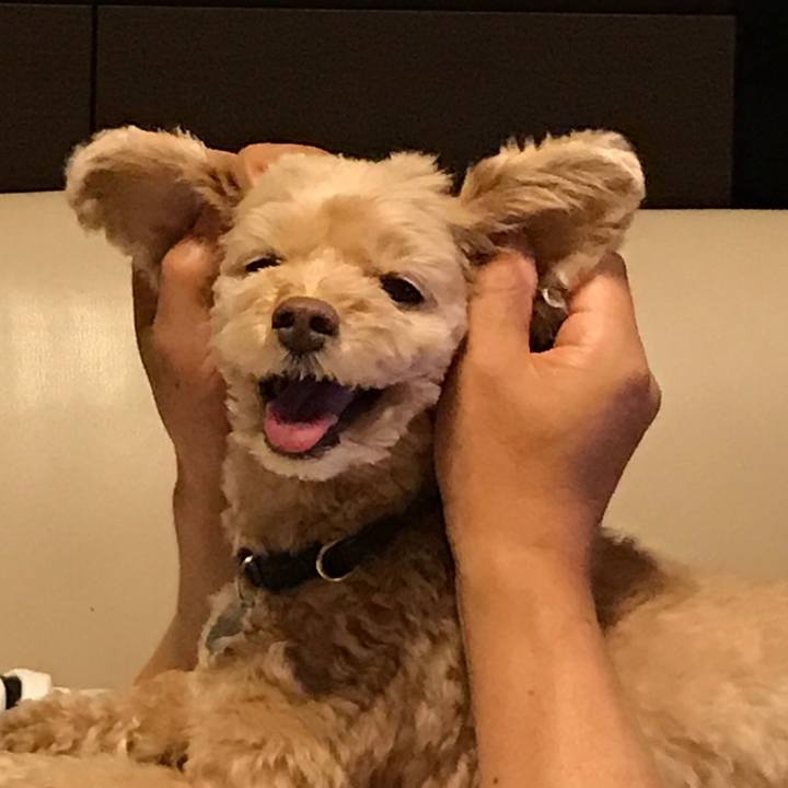 Aa0d32ed b71b 48d2 8f98 33cd8a2d1037