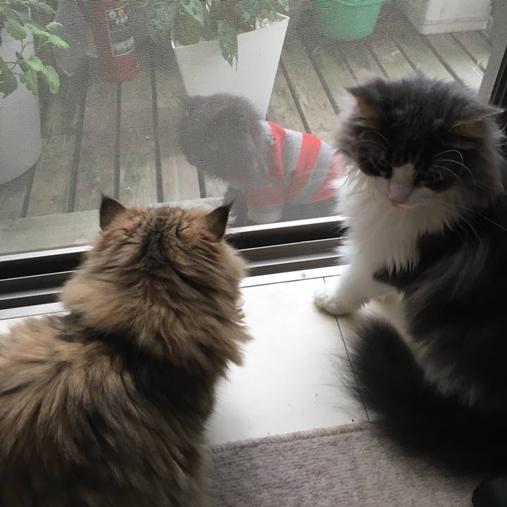 Aa0d38e1 37d7 48b2 bce6 f28b3acabc4b