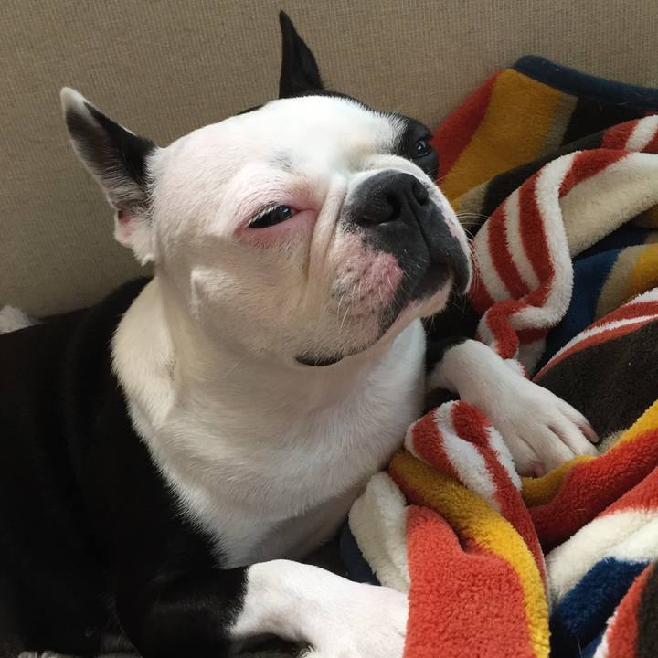 Aa0d475b 8ce3 476a a2ee bf4a8f0e8fc5