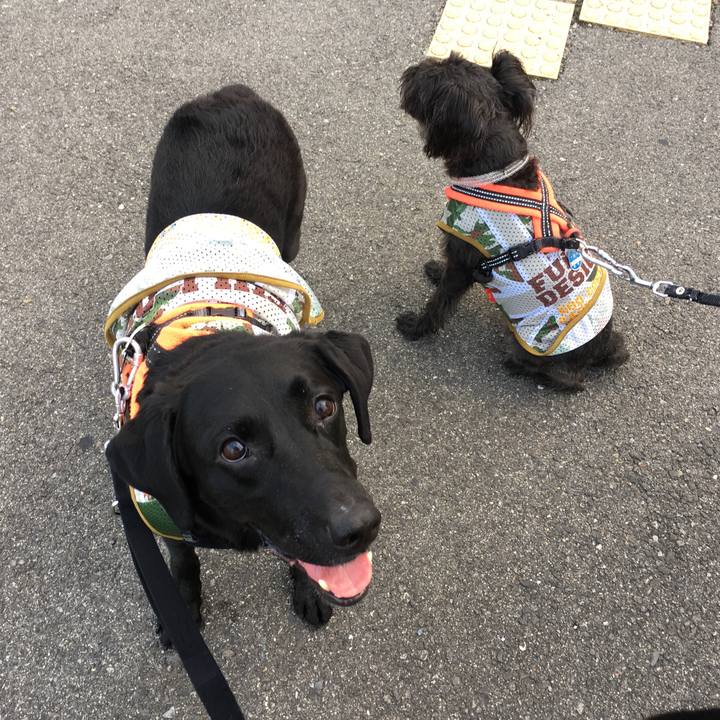 Aa0d6085 63a6 4f83 985f 5b5b59d77c67