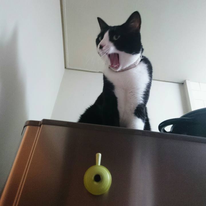 Aa0e232a 8f0e 43a4 8ee0 7df030c09b2a