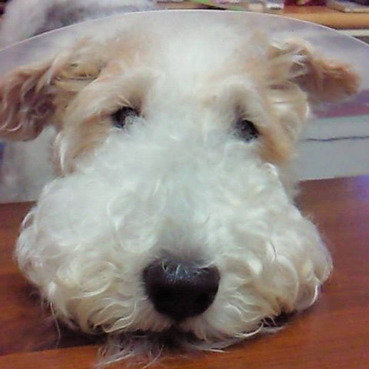 Aa0e6078 65b7 46a2 b94d 8b74dca5a348