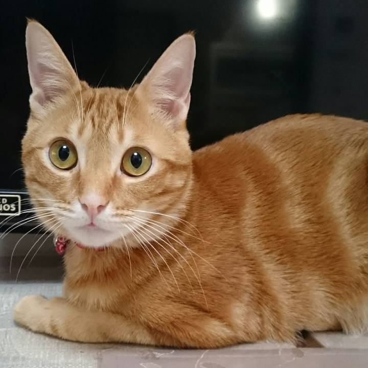 Aa0e71e7 62d4 4a9c 9e7a 162b62cc2fe2