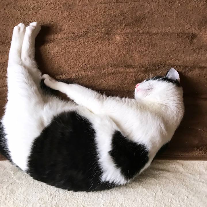 Aa0e7dbb e2ff 42b8 9988 9237782680da