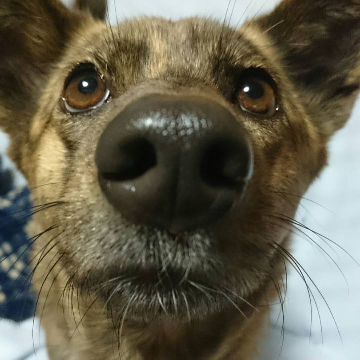 Aa0f9f8f 2313 48d4 8019 894894edf5ee