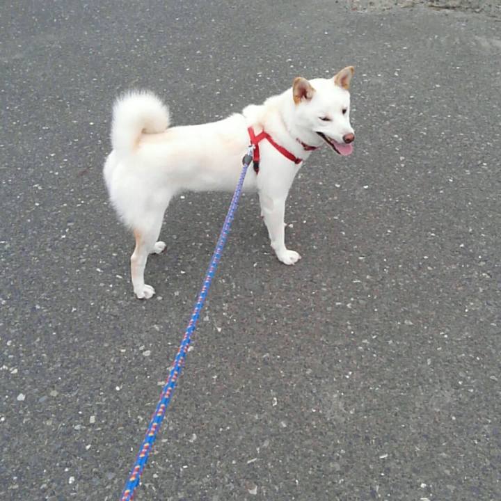 Aa1013d3 8315 4adc 847e dbd50e65616b