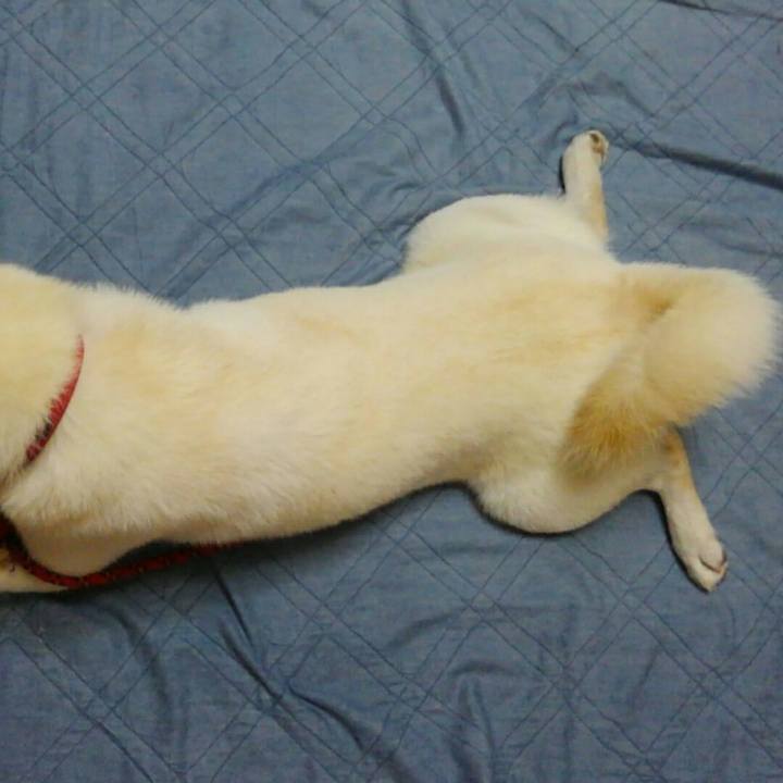 Aa1086a4 bcd9 4235 93a5 9b7b53d6100b