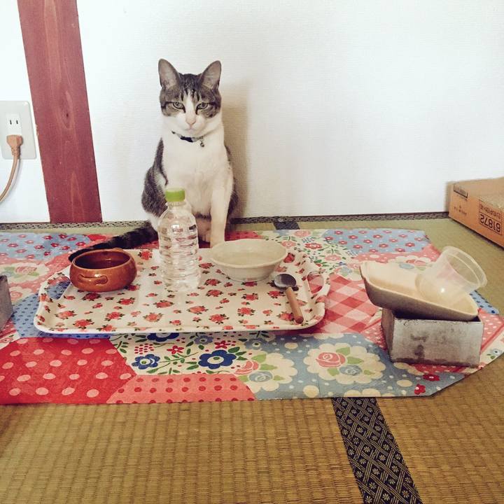 Aa10cf06 c139 4558 9eb7 21737ac1b8aa