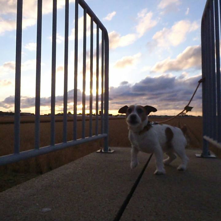 Aa10e1ea a3d8 4ac9 b3f3 ea0cbab81c1a