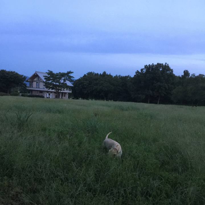 Aa111825 8827 4453 9521 23fc1b63f25a