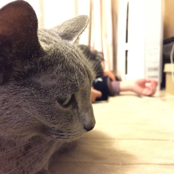 Aa111c6c 7609 4edd 86d1 577e806dca31