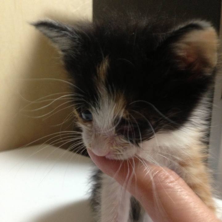 Aa111f24 940a 4f4f 912f 67130fe946a3