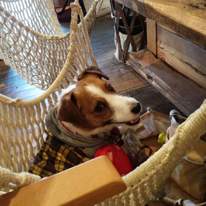 Aa1178c7 b986 4270 8106 ba48f440840b